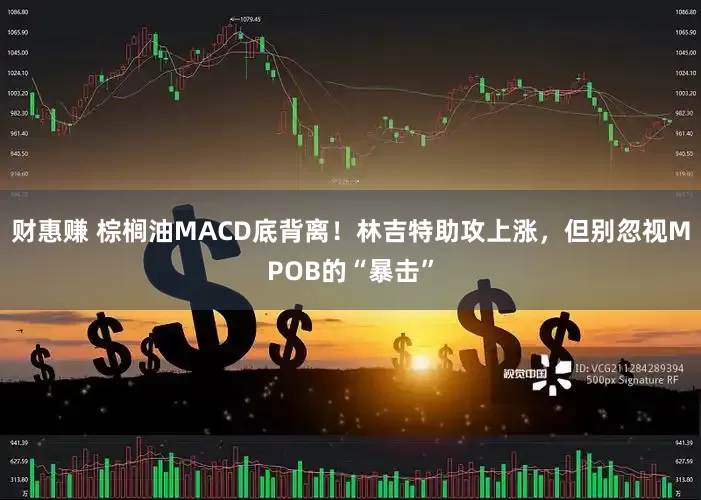 财惠赚 棕榈油MACD底背离！林吉特助攻上涨，但别忽视MPOB的“暴击”