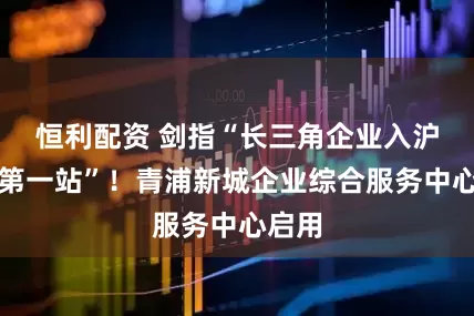 恒利配资 剑指“长三角企业入沪出海第一站”！青浦新城企业综合服务中心启用